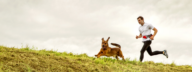 Cómo salir a correr con tu perro