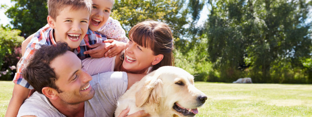 Cómo elegir la mascota adecuada para tu familia