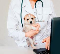 formación a empresas de veterinaria