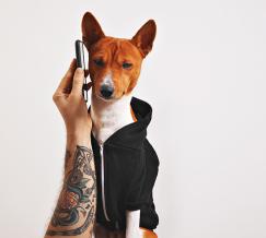perro hablando por telefono
