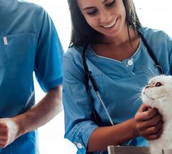 Curso de Asistente Técnico Veterinario