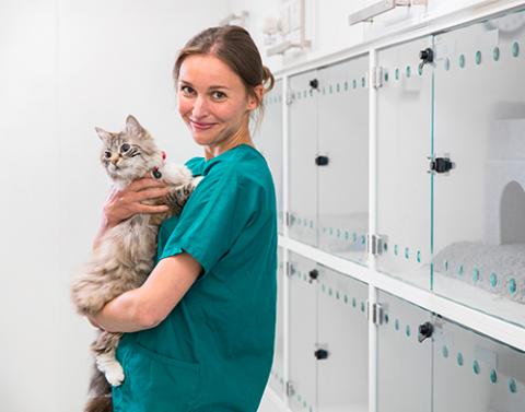 Prácticas en centros veterinarios Prácticas en centros veterinarios